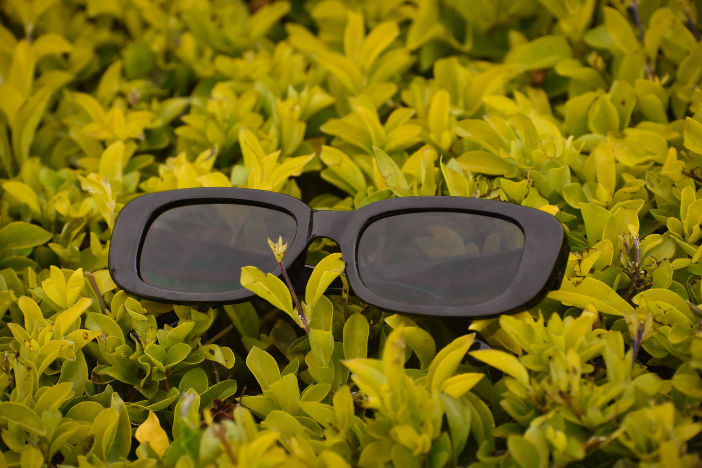 Essentials Sunglasses