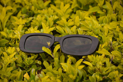 Essentials Sunglasses